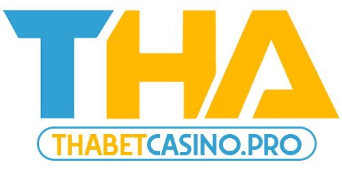 zemax.cn.com